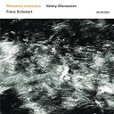 Franz Schubert / Valery Afanassiev - Franz schubert: moments musicaux