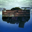 Alif Tree - Spaced