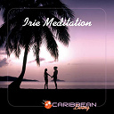 Bushman / Capleton / Fred Locks / Glen Washington / Jah Cure / Luciano / Mickey Spice / Sizzla / Warrior King / Yami Bolo - Irie meditation