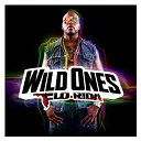 Flo Rida - Wild ones