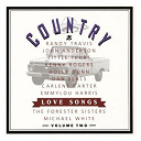 Carlene Carter / Dan Seals / Emmylou Harris / Holly Dunn / John Anderson / Kenny Rogers / Little Texas / Michael White / Randy Travis / The Forester Sisters - Country love songs vol ii