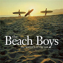 The Beach Boys - The warmth of the sun