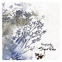 Sigur R&oacute;s - Hopp&iacute;polla