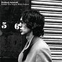 Richard Ashcroft - Break the night with colour