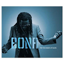 Richard Bona - The ten shades of blues