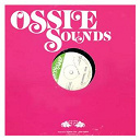 The Revolutionaries - Crueshal dub