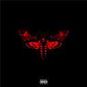 Lil Wayne - I am not a human being ii