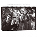 The Smashing Pumpkins - Rotten apples, the smashing pumpkins greatest hits