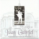 Juan Gabriel - Celebrando 25 a&ntilde;os de juan gabriel en el palacio de bellas artes