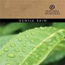 David Arkenstone - Gentle rain