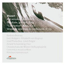 Nikolaus Harnoncourt - Elatus - mozart : sacred works