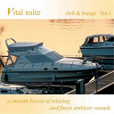 Area 42 / Be Free / Dream Project / Emty Rooms / For Found Future / Jean Mare / Johannes Huppertz / Noire / Pantaea / Richard Bonnee / Rouge - Chill & lounge vol.1