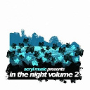 Agent Matteo / Christoph Kardek / Cooccer / Da Funk / Harold Heath / Mao / Nestora, Lowell / Onur Ozman / Salt Sweet / Sun Boys - In the night vol. 2