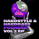 Acid Bunny / Chop Shop / Dj D-Light / Enigmato / Mike Nrg / Mike Oh Man / Rocket Base / Stylez Meets Tonteufel - Hardstyle and hardbass pounder vol.2