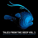 Dualton / Einmusik / Elmar Schubert / Florian Kruse / Gebrueder Ton / Jacksonville / Knee Deep / Lovebirds / Nils Nuernberg / Ophir Project / Rhythm Slaves / Soda Inc. / Terry Lee Brown Jr. / The Timewriter / Vincenzo - Tales from the deep vol. 1  (selected deep and techhouse tunes from the underground)