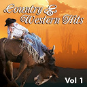Chet Atkins / Cowboy Copas / Eddy Arnold / Ferlin Husky / Hank Snow / Hardrock Gunter / Jim Reeves / Johnny Horton / Little Jimmy Dickens / Marty Robbins / Merle Travis / Patsy Montana / Ray Price / Red Foley / Roy Acuff / Sheb Wooley - Country & western, vol. 1