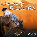 Don Gibson / Eddy Arnold / Ernest Tubb / Hank Snow / Hank Williams / Jim Reeves / Johnny Horton / Lefty Frizzell / Little Jimmy Dickens / Marty Robbins / Merle Travis / Patsy Montana / Ray Price / Red Foley / Roy Acuff / Tex Williams - Country & western, vol. 3