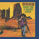 Home - Pause for a hoarse horse