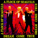 A Flock Of Seagulls - Dream come true