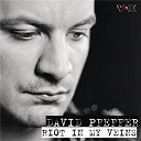 David Pfeffer - Riot in my veins