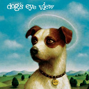 Dog's Eye View - Daisy