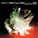Chevelle - Wonder what's next (deluxe version)