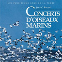 Jean C Roche - Concerts d'oiseaux marins