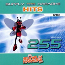 Akon / Amy Winehouse / Beverley Knight / Booty Luv / Gym Class Heroes / Linkin Park / Maroon 5 / Meck / Mutya Buena / Snow Patrol / Sophie Ellis-Bextor / Switches / The Killers / The View / Travis - Sunfly hits: vol. 255