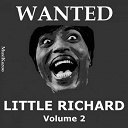 Little Richard - Wanted little richard (vol. 2)