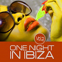 Dave King / Dirty Kidz / Dj Ecko / Dj Fist / French Hunters / Hijackman, Vitorio Ian / Jim-X / John Blink / Las Vegas / Mike Traxx / Milan Draw / Miss Ketty / Mondotek / Night Beach / Olivier Darock / Oxy / Seight / The Bass Kidz / The Dancer / Tito Torres / Tony Romera - One night in ibiza, vol. 2