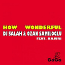 Dj Salah / Ozan Samiloglu - How wondeful (feat. majuri)