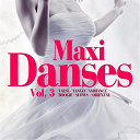 Abala / Aldo Rinzoli / Bezu / Carlos Rodriguez / Citizens / Dan Landis / Ferria / Jacques Vlecken / La Bande &Agrave; Basile / Le Grand Jeff / Les Aristocrates / Les F&ecirc;tards / Louis Lauro / Mondo Wells / Phil Troisi - Maxi danses, vol. 3 (valse tango ambiance boogie slows oriental)