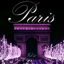Andrex / Bourvil / Charles Aznavour / Damia / Dranem / Fernandel.... / Gaston Ouvrard / Gloria Lasso / Jacques Brel / Jean Lumi&egrave;re / Jean Tranchant / Les 3 Menestrels / Line Renaud / Marcel Merk&egrave;s / Marcel Mouloudji / Mathe Altery / Paulette Merval / Pierre Roche / Ray Ventura Et Ses Coll&eacute;giens / Suzy Solidor / Yvette Giraud / &Eacute;dith Piaf - Paris, vol. 51