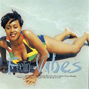 Beenie Man / Dennis Brown / Don Campbell / Glamma Kid / Jimmy Riley / Johnny Osbourne / Marie Claire / Morgan Heritage / Sanchez / Sandra Melody / Sylvia Tella / Tanto Metro / Tony Rebel / Troublesome - Feelin' de vibes