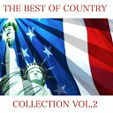 Bill Monroe / Bob Willis / Cliffie Stone / Curly Williams / Floyd Tillman / Hank Penny / Hank Williams / His Smokey Mountain Boys / Jack Guthrie / Luke Wills / Merle Travis / Pee Wee King / Roy Acuff / Spade Cooley / Tex Ritter / Tex Williams / Texas Ruby / The Bluegrass Boys / The Sunshine Boys / The Texas Playboys / Wesley Tuttle - The best of country, vol. 2