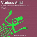 Domino / Dreamy Way / Francesco Frumento / Frankie Ferrell, Liam Barness / Marcelo Flix / Martin Slivka / Mauro Mejia / Nomen Van Eijk / Swanson / Victor Mendoza - Tulum records essentials 2012, vol. 1