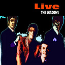 The Shadows - Live