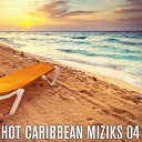 Abege / Elizio / Jim Rama / Kaysha / Loony Johnson / Michael / Sandra Nanor / Shana Kihal / Thayna / Thierry Cham - Hot caribbean miziks 04 (sushiraw)