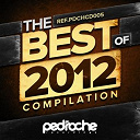 Dani Vars / Gonzalo Shaggy Garcia / Jason Rivas / Jon Flores / Pavell / Pepe Cano / Sergio Bilous - The best of pedroche recordings 2012