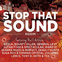 Bounty Killer / Columbo / Conrad Crystal / Deadly Hunta / General Levy / Keith / Lion D / Lutan Fyah / Perfect / Sizzla / Skarra Mucci / Spectacular / Suga Roy / Tex / Tony D / Ward 21 - Stop that sound riddim