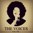 Ella Fitzgerald / Elvis Presley "The King" / Enrico Macias / Frank Sinatra / Georges Brassens / Jackie Wilson / Jacques Brel / James Brown / Jerry Lee Lewis / Juliette Gr&eacute;co / Marvin Gaye / Petula Clark / Sam Cooke / Serge Gainsbourg / The Everly Brothers / The Platters / Tony Bennett / Yves Montand / &Eacute;dith Piaf - The voices, vol. 1