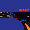 Alireza Dp - Possible future