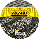 Gus Bonani - Sobre ruedas