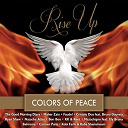 Bahroma / Bon Bon / Carmen Paris / Cristelo Duo / Faudel / Kk / Kobi Farhi, Ruba Shamshoum / Maher Zain / Mazachigno / Natacha Atlas / Reet / Ryan Shaw / The Good Morning Diary - Rise up (colors of peace)