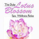 Duke - The duke lotus blossom (spa wellness relax)