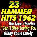 B. Bumble / Bobby Vinton / Brenda Lee / Brian Hyland / Bruce Channel / Chris Momtez / Don Gardner, Dee Dee Ford / Elvis Presley "The King" / Ernie Marisca / Etta James / Little Eva / Neil Sedaka / Ray Charles / Shirley Caddel, The Aristocrats / The Beach Boys / The Crystals / The Duprees / The Earls / The Four Seasens / The Isley Brothers / The Miracles / The Sensations / The Shirelles / The Stingers - 23 hammer hits 1962 (original artist original songs)
