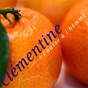 Clementine - Chasse &agrave; l'homme