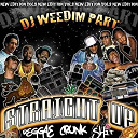 Al Pancho / Big Red / Biggi / Bounty Killer / Captain Barkey / Derrik Lara / Dj Weedim / E-40 / I Lue / Jamalski / Lil Jon / Paul Elliott / Perfect / Power Man / Yung Joc - Reggae crunk shit vol 8 (dj weedim part)