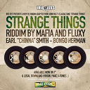 Bongo Herman / Chezidek / Earl "Chinna" Smith / Fluxy / John Holt / Junior Kelly / Lorenzo / Lutan Fyah / Sena / Sizzla / The Mafia / Trinity - Strange things riddim - 7'' release