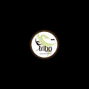 Dj Fox - Tribal from lisboa 'i believe'